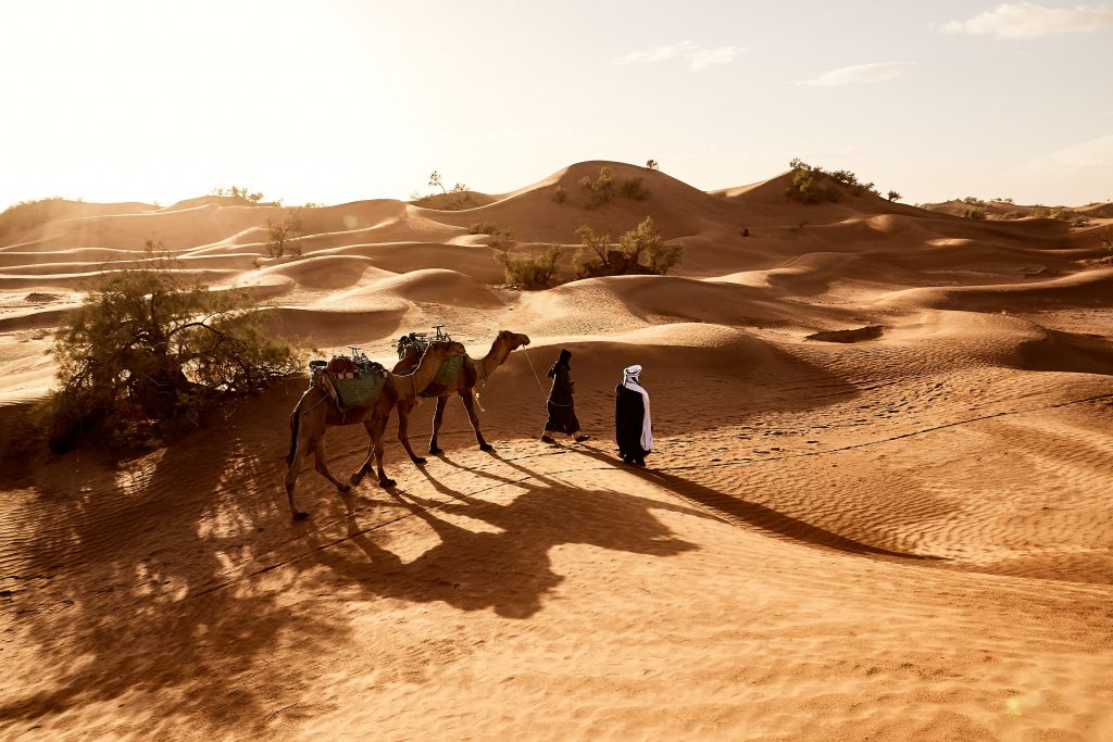 Une tempête de sable lors de votre trek désert Maroc. Que faire?