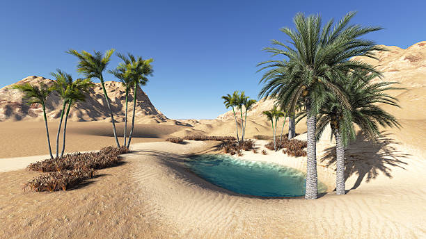 You are currently viewing Oasis desert : comment se forment telles ?
